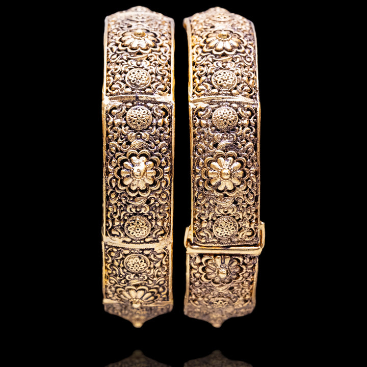 Anvisha Bangles