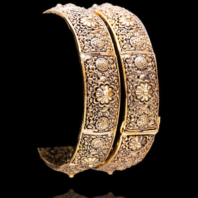 Anvisha Bangles