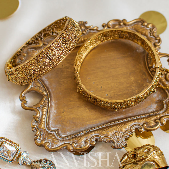 Anvisha Bangles