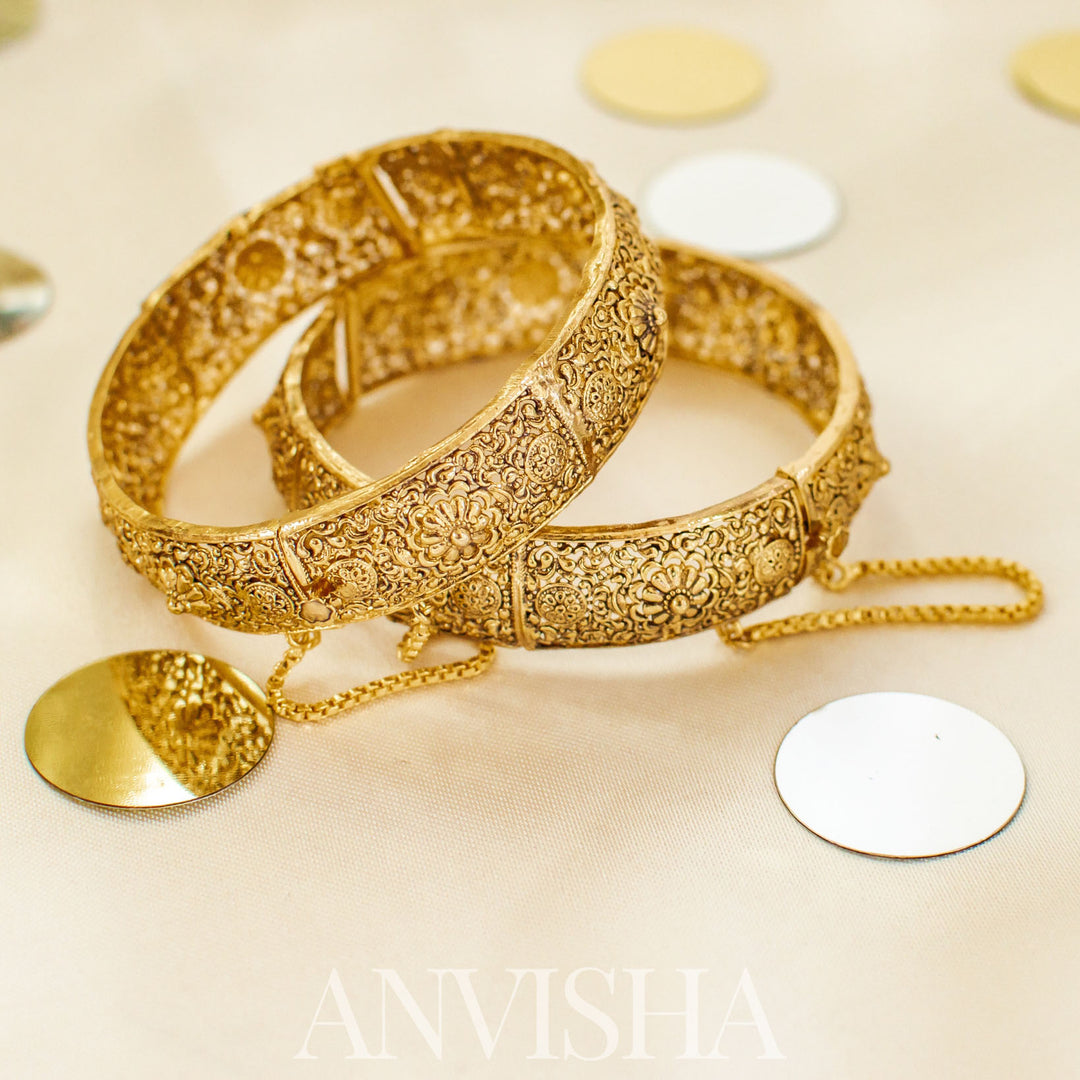 Anvisha Bangles