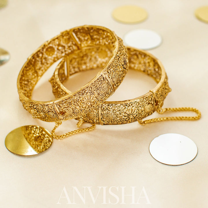 Anvisha Bangles
