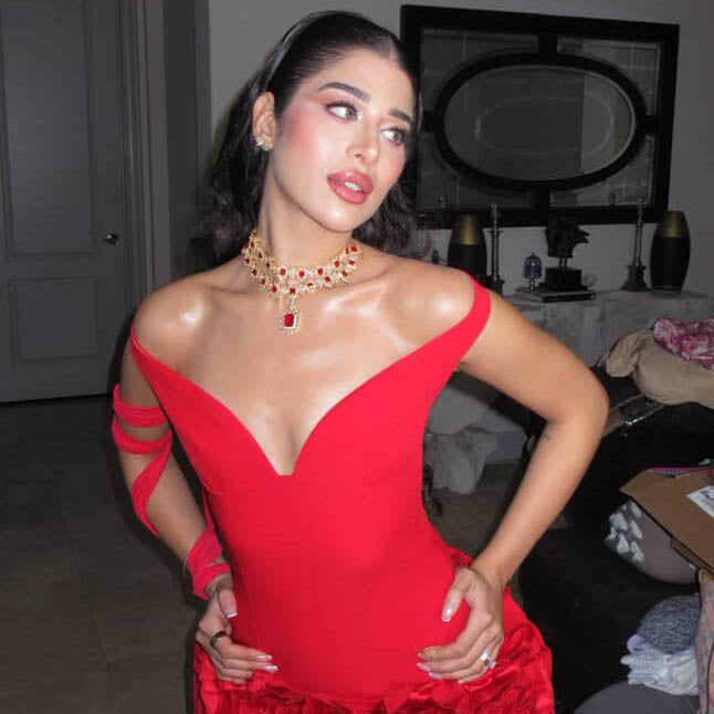 Hafeeza's Veena Look - Ruby